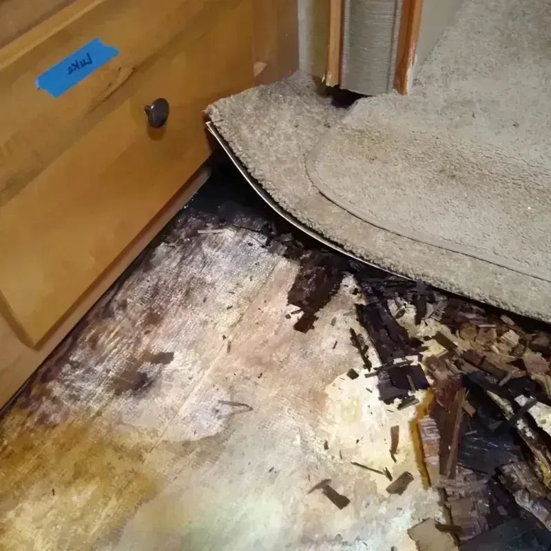 Best Wood Floor Water Damage Service in Laporte, PA